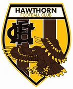 Image result for Hawthorn Hawks Logo