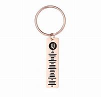 Image result for Spot Pro Key Chain