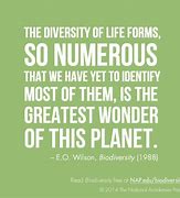 Image result for Quotes About Biodiversity