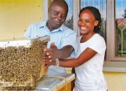 Image result for Honey Beekeeping