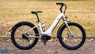 Image result for Evelo Electric Bike