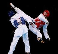 Image result for Taekwondo Fist