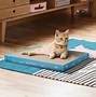 Image result for Cat Scratching Pads