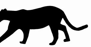 Image result for Black Panther Silhouette