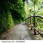 Image result for Narrow Path Beach