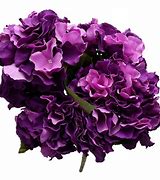 Image result for Dark Purple Flower Names