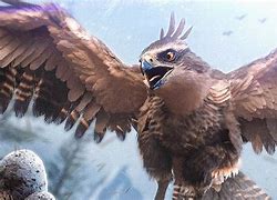 Image result for Fjordhawk Ark