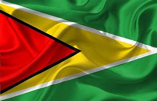 Image result for Guyana Flag Outline