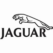 Image result for Jaguar Logo Medieval