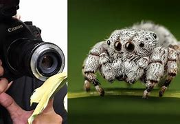 Image result for Macro Photography Camera for Medical