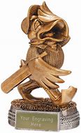 Image result for Duck Trophy