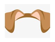 Image result for Cute Dog Ears