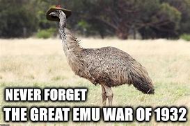 Image result for Great Emu War