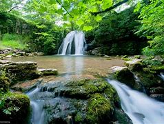 Image result for Scenic Nature Wallpapers Free