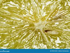 Image result for Lemon Slice Umbrella Yellow