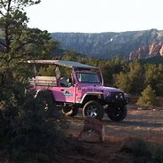 Image result for Blue and Pink Jeep