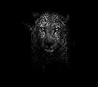 Image result for 5K Wallpaper Black Background