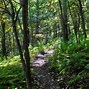 Image result for Indian Rocks On the Blue Ridge Parkway