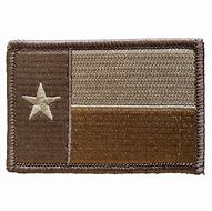 Image result for Texas Army Patches