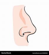 Image result for Cartoon Nose Profile