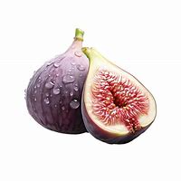 Image result for Fig Fruit Clip Art