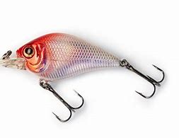 Image result for Lure Trout White