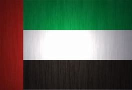 Image result for NASA and UAE Flag Image