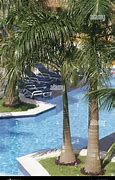 Image result for Cozumel Quintana Roo