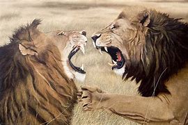 Image result for Fighting The Lion Inside