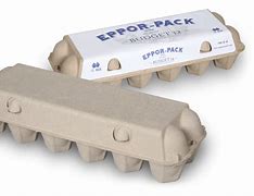 Image result for Egg Carton Packaging