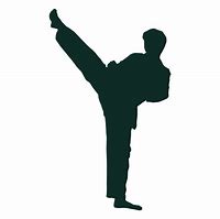 Image result for Karate Front Kick