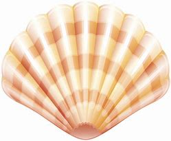 Image result for Purple Clam Shell Clip Art