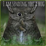 Image result for Cute Hug Meme