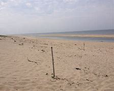 Image result for Truro Beaches