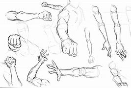 Image result for Hand and Arm Drawing