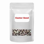 Image result for Ethiopian Castor Seeds