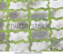 Image result for Garden Path Top View