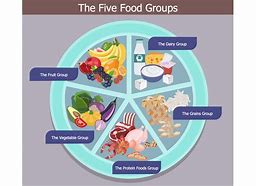 Image result for Food Groups Names