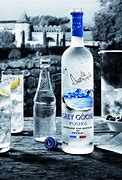 Image result for Grey Goose Bird