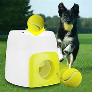 Image result for Dog Treat Toys