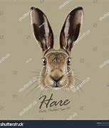 Image result for Hare Portrait Face