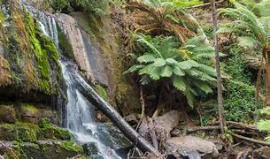 Image result for Flash-Flood Lilydale