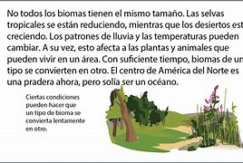 Image result for Ideas De Titulos De Los Biomas