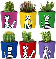 Image result for One Plant Pots