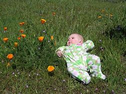 Image result for Taking Baby in Garden