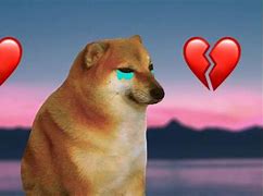 Image result for Doge Sad Aviation