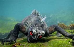 Image result for Deadly Sea Creatures