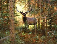 Image result for Pretty Wild Animals