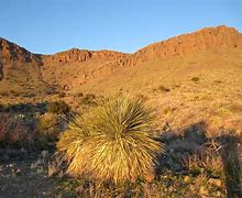 Image result for Deming, New Mexico