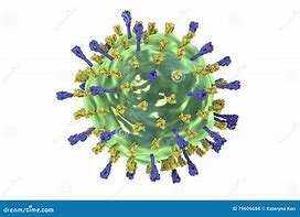 Image result for Mumps Virus Morphology